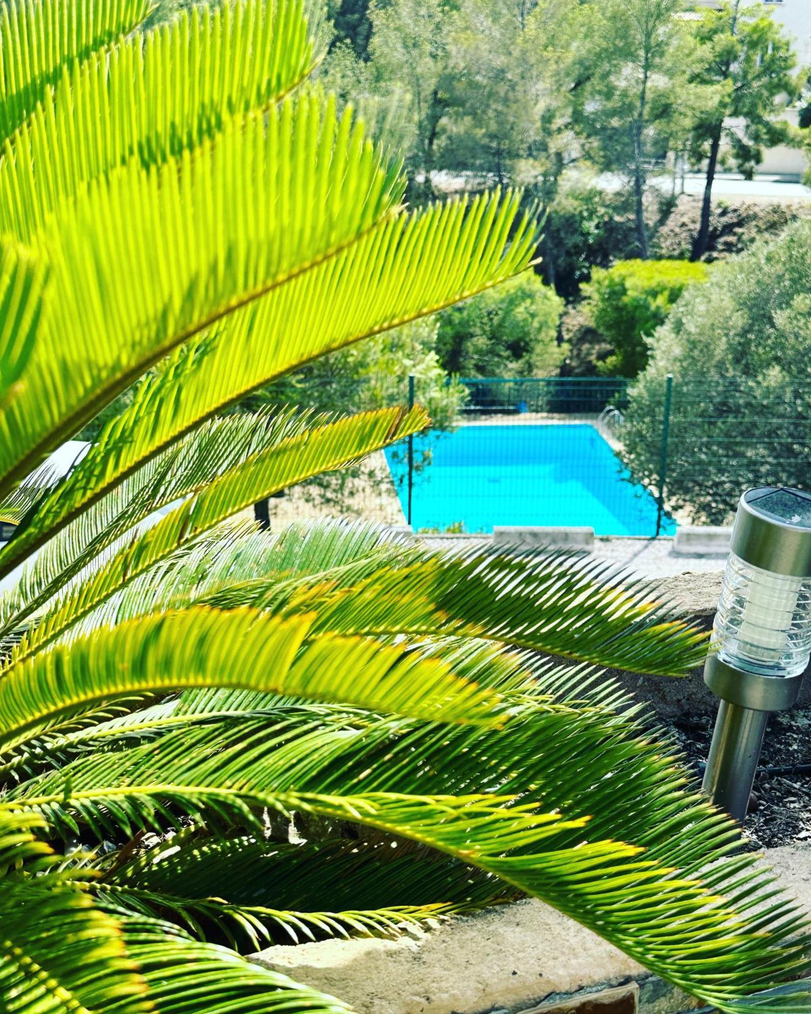 Vuemer Bandol - Grande Terrasse De 45M2 Vue Mer Piscine Parking Exteriör bild
